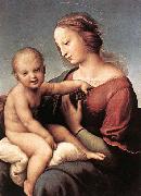 RAFFAELLO Sanzio Madonna and Child oil painting artist